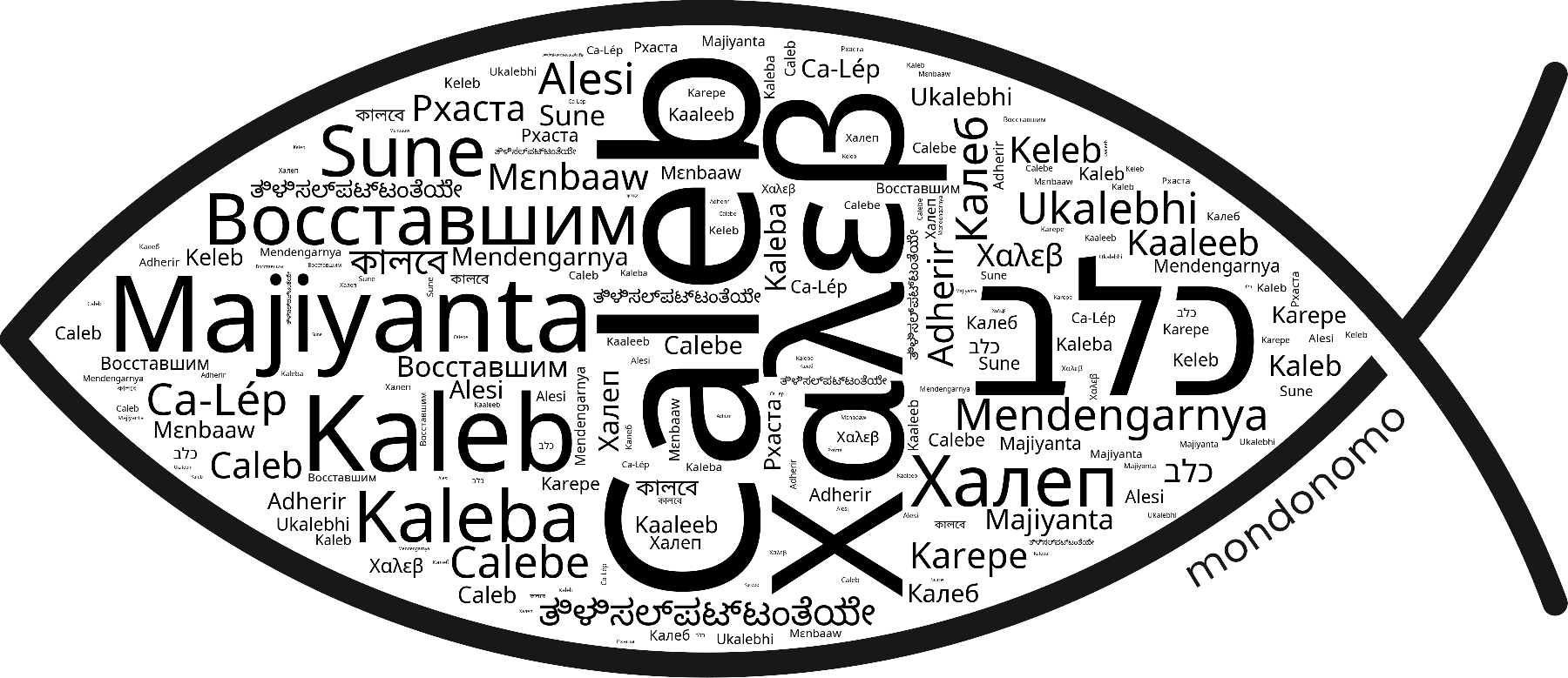 Name Caleb in the world's Bibles